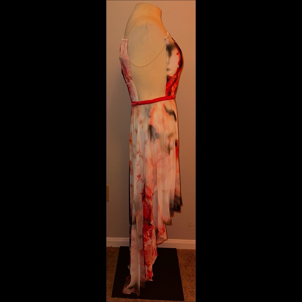 Bebe High Low Chiffon Pleated Maxi Dress Floral Illusion Sheer Dress 4 NWT - Picture 5 of 16